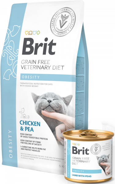 Obesity veterinary diet brit chat