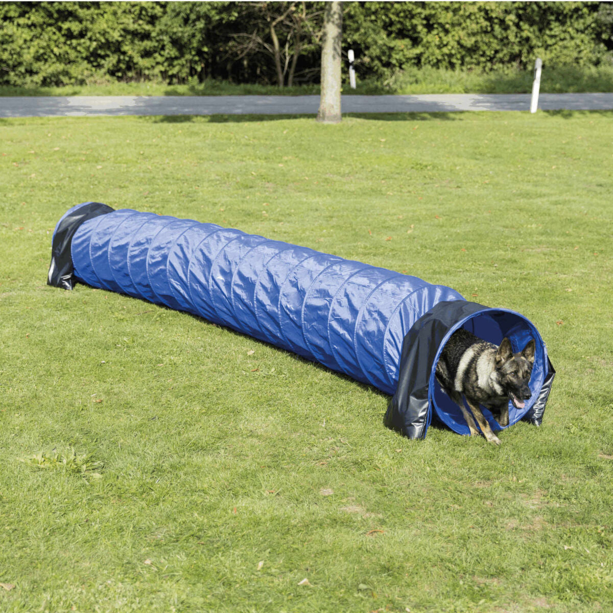 TUNNEL AGILITY 5M