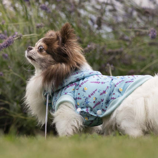 IMPERMEABLE CROCI
