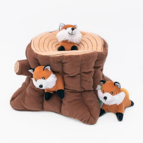 Zippy Burrow renard souche