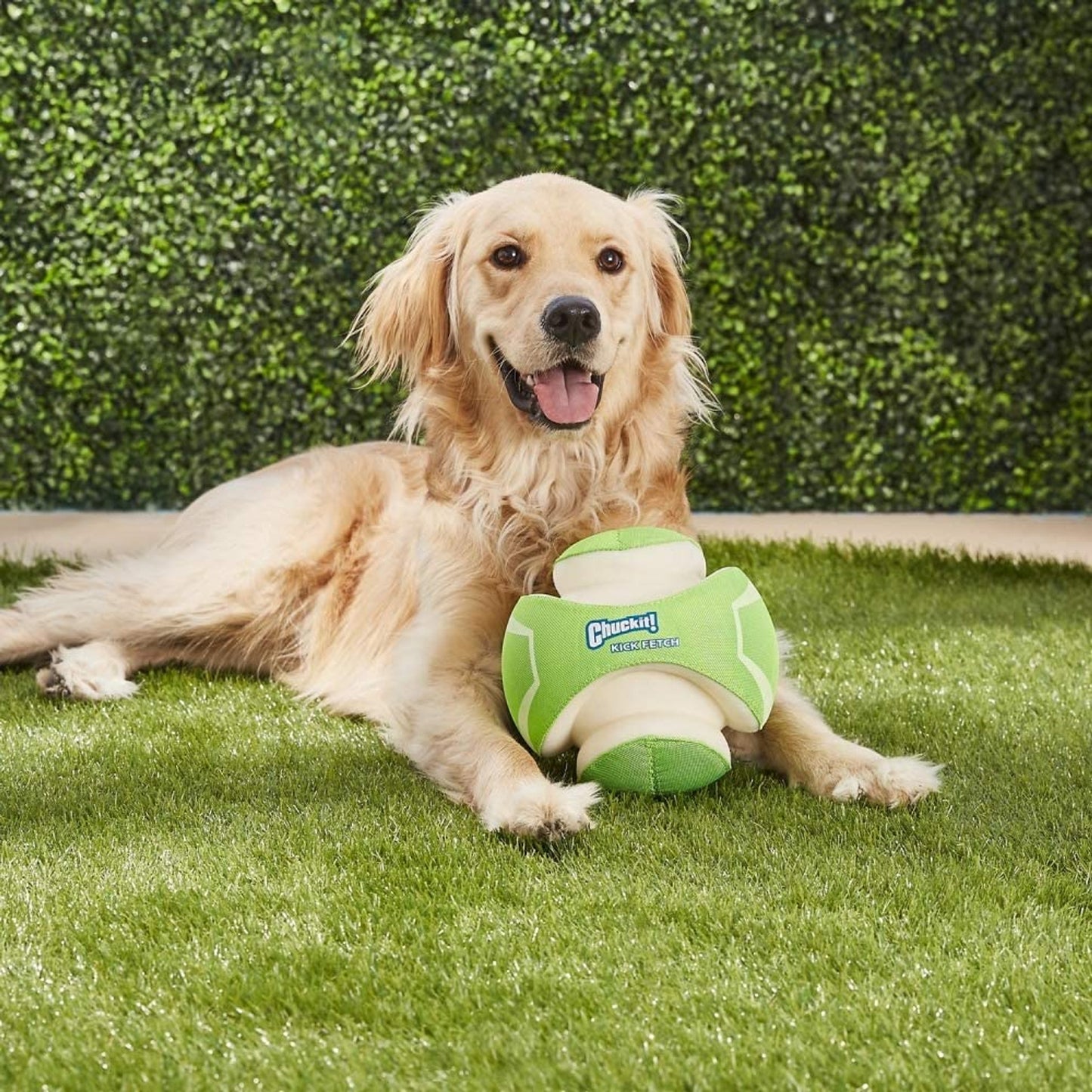 Chuckit Max Glow kick Fetch
