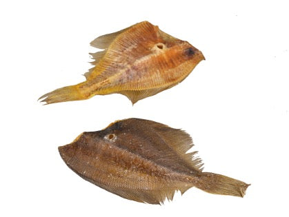 Plie vrac
