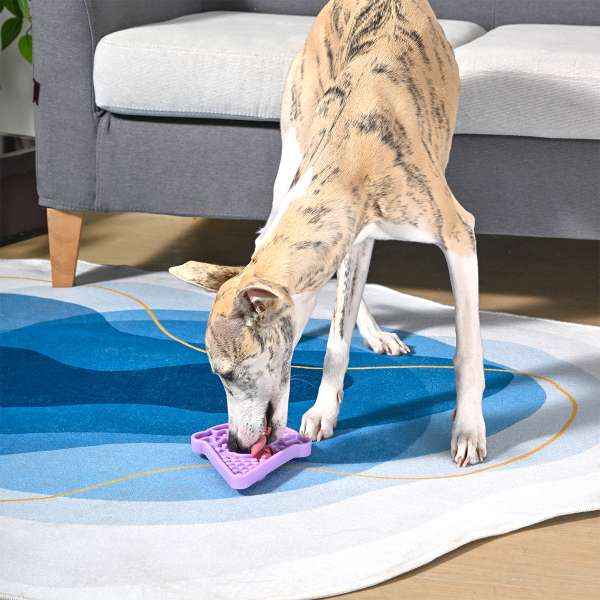 Tapis de lèche glace