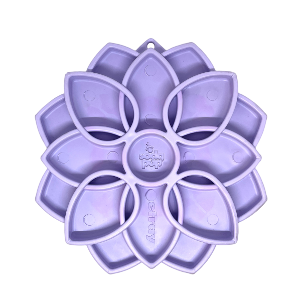Mandala souple Sodapup