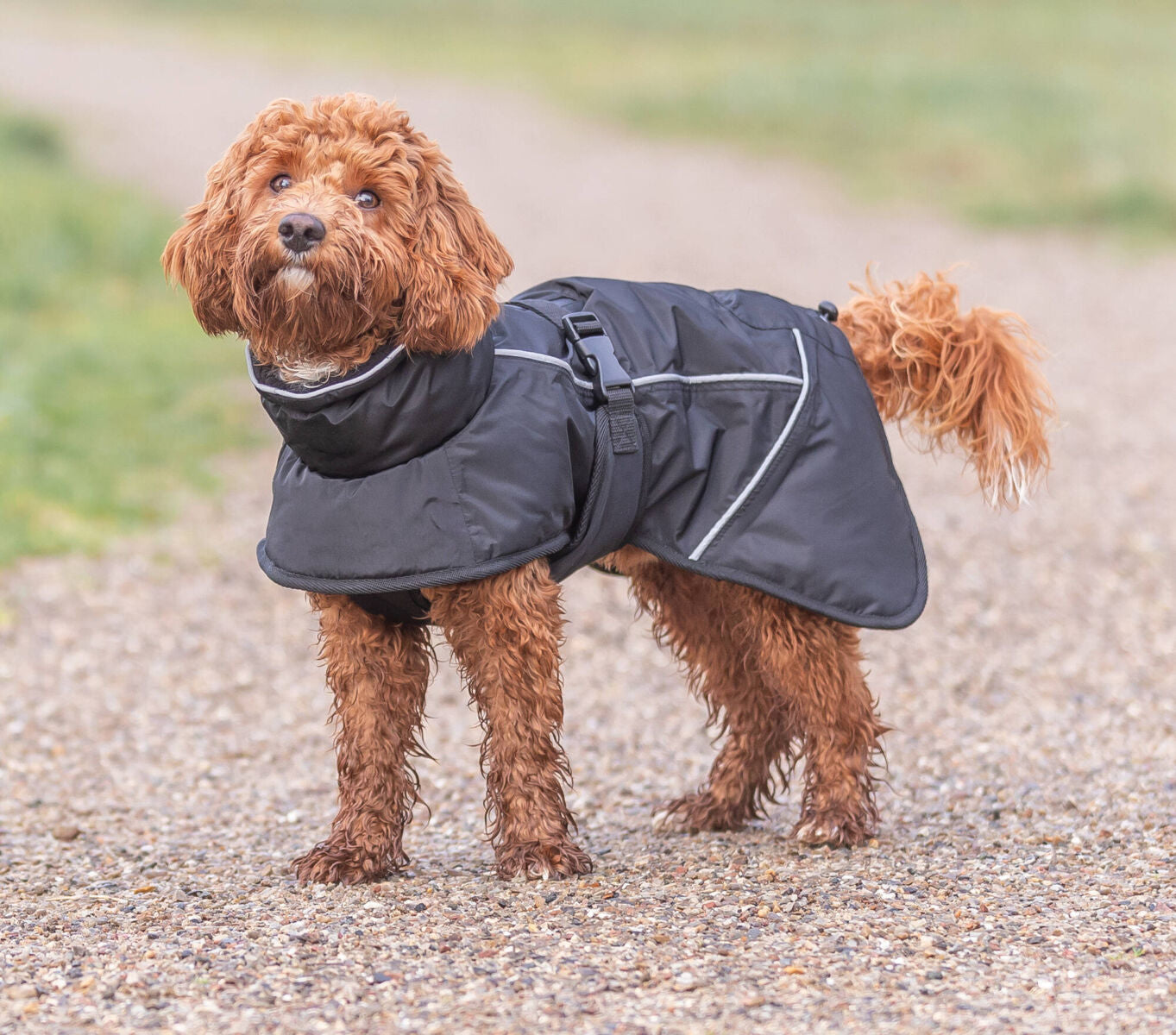 Manteau d’hiver Brizon