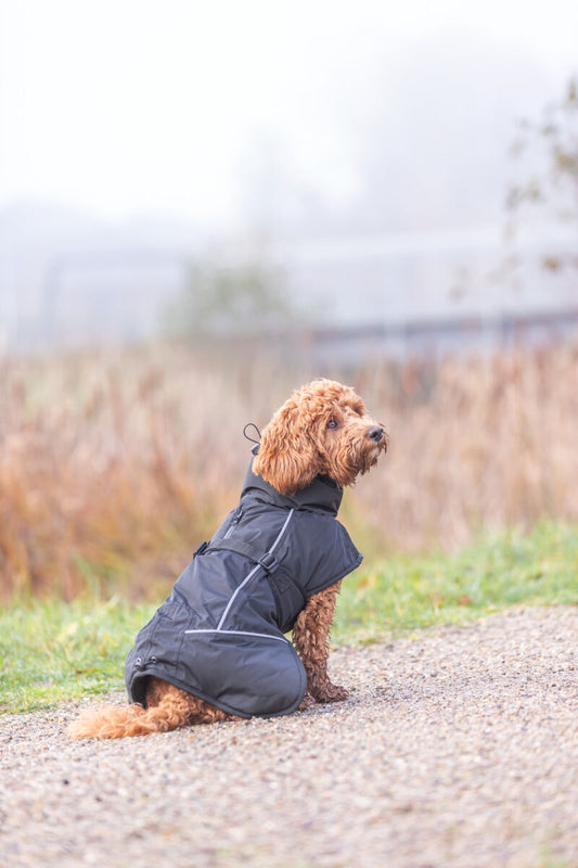 Manteau d’hiver Brizon