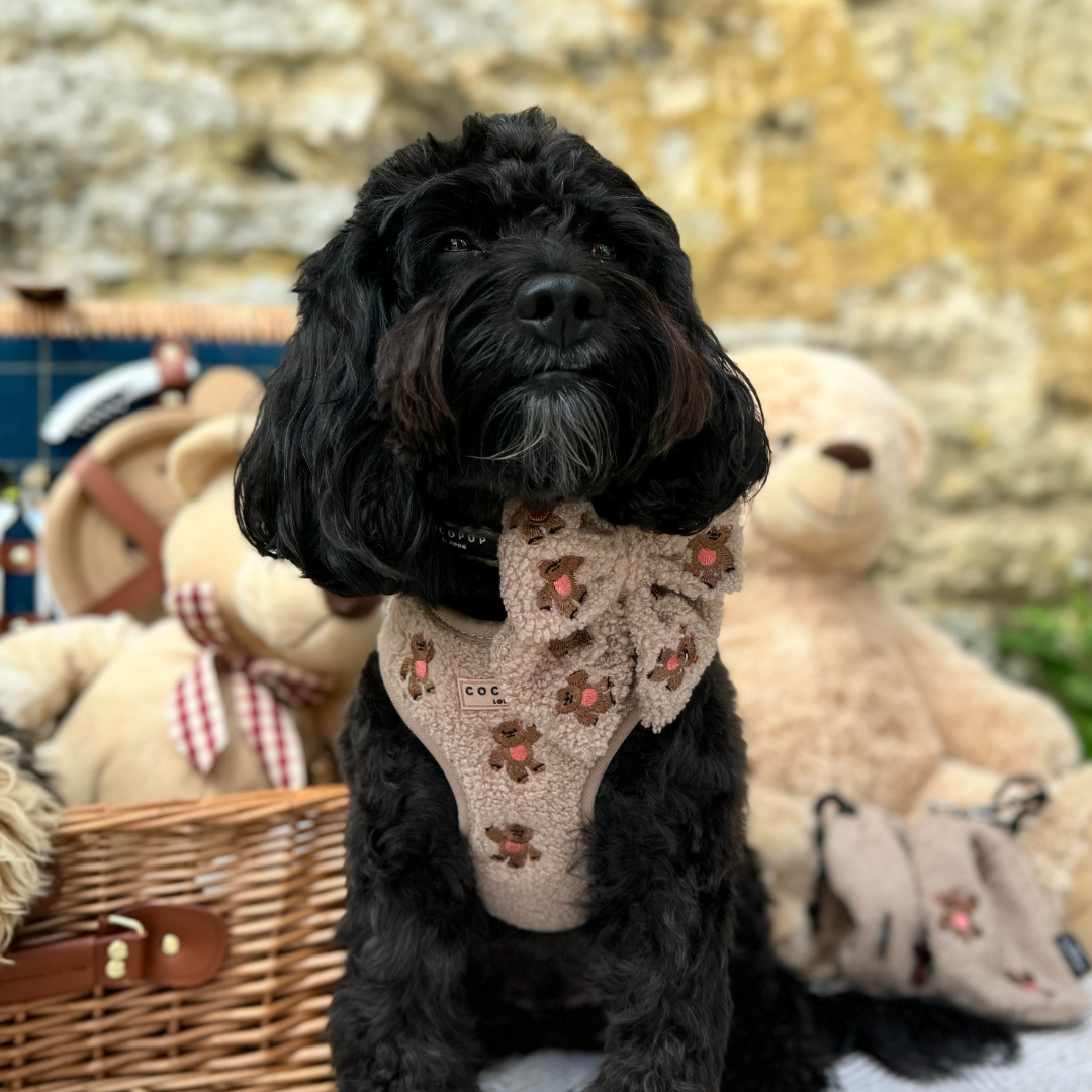 Harnais Théo Teddy Cocopup London
