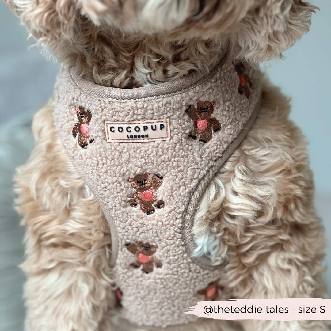 Harnais Théo Teddy Cocopup London