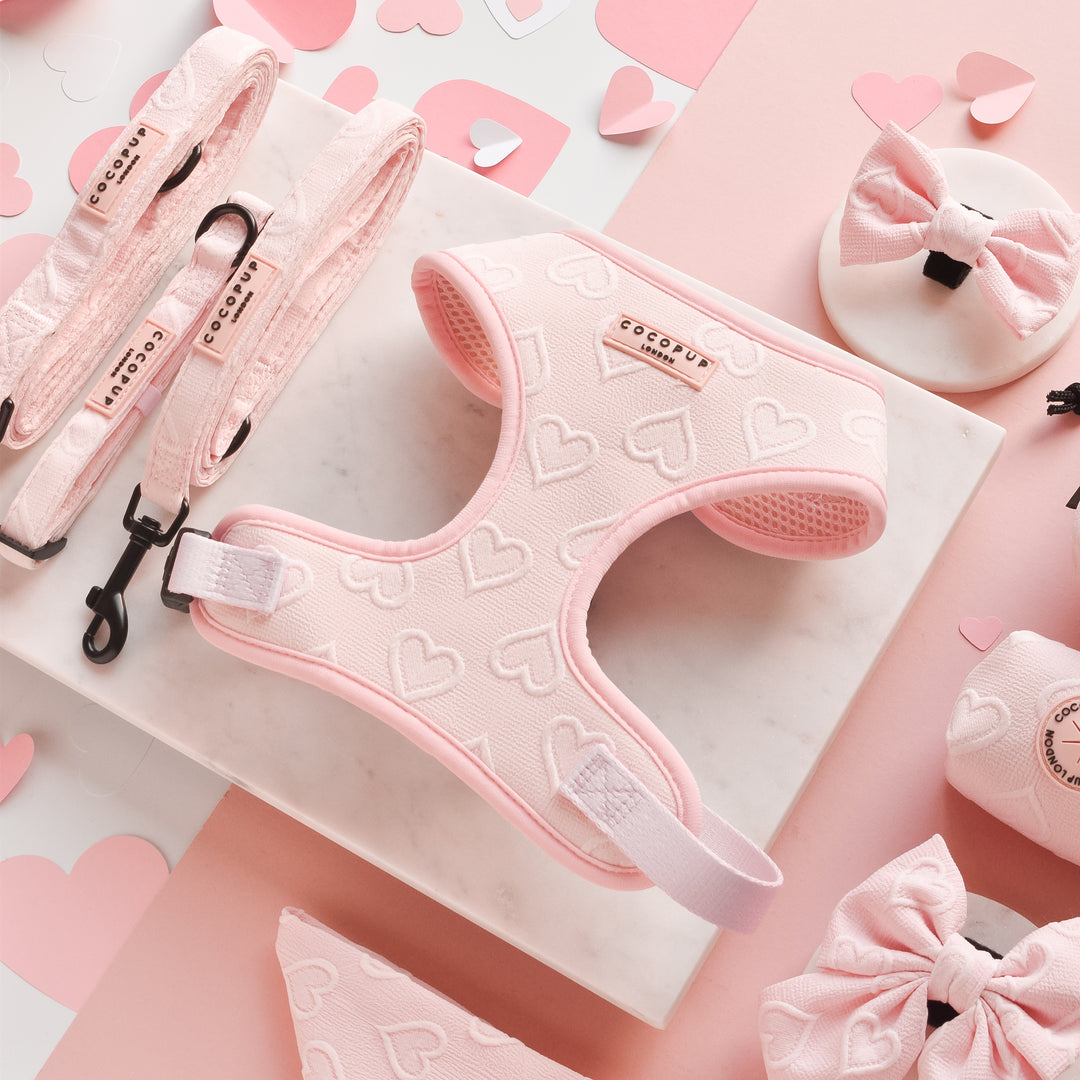 Harnais cœur rose Cocopup London