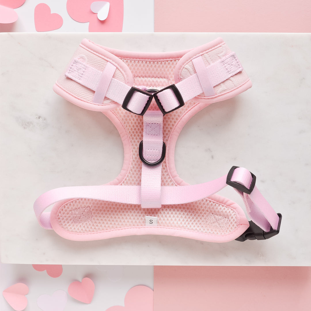 Harnais cœur rose Cocopup London