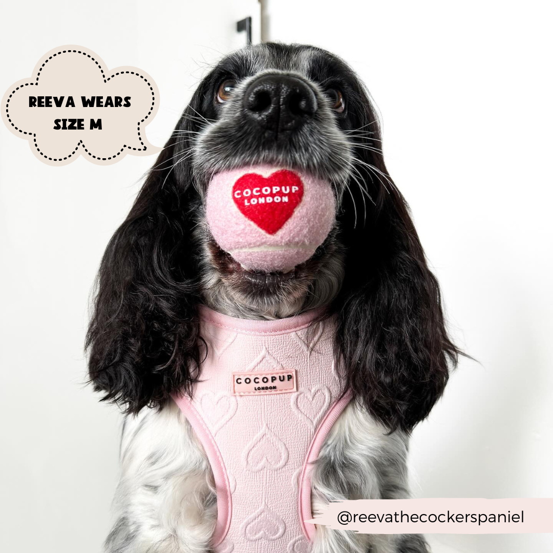 Harnais cœur rose Cocopup London