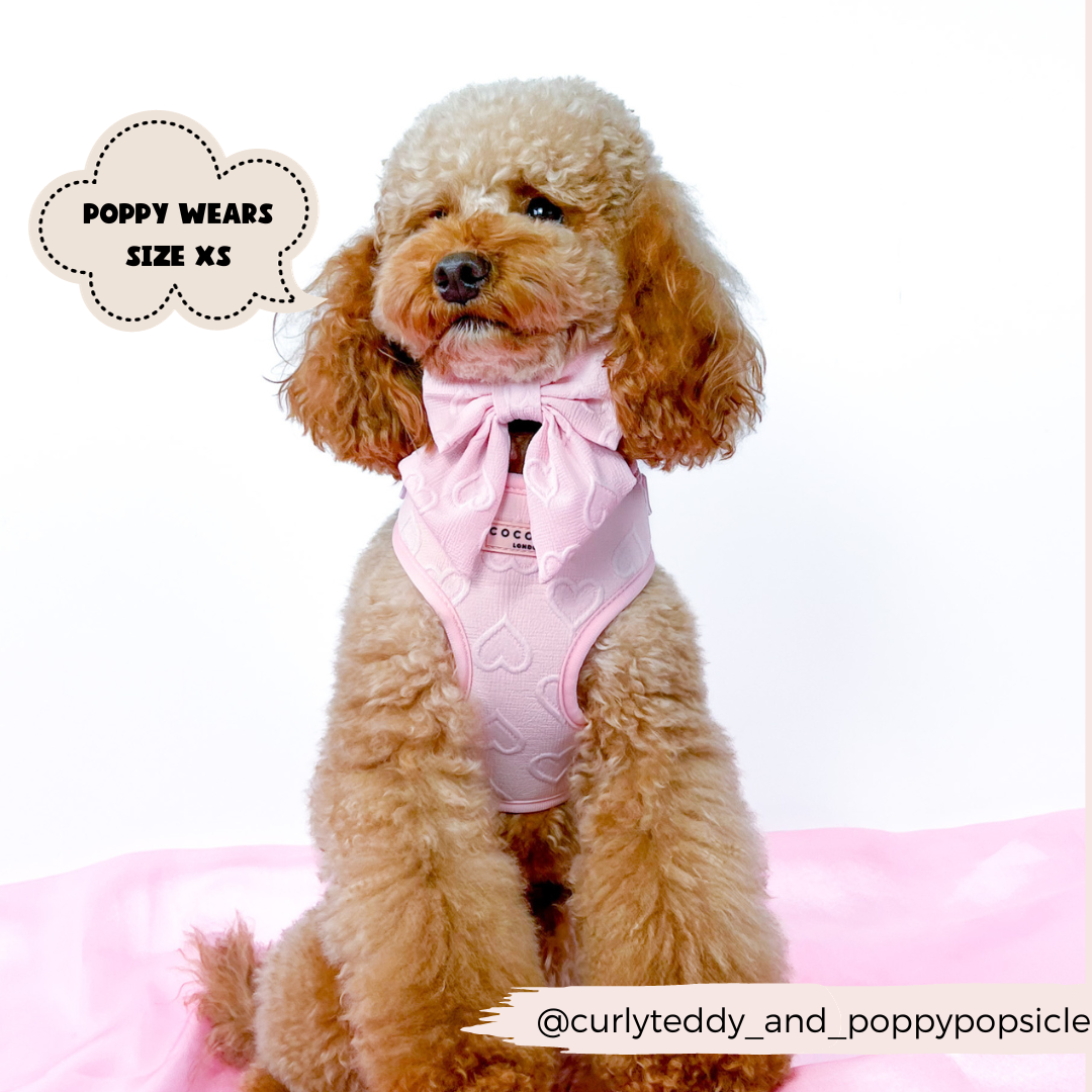 Harnais cœur rose Cocopup London