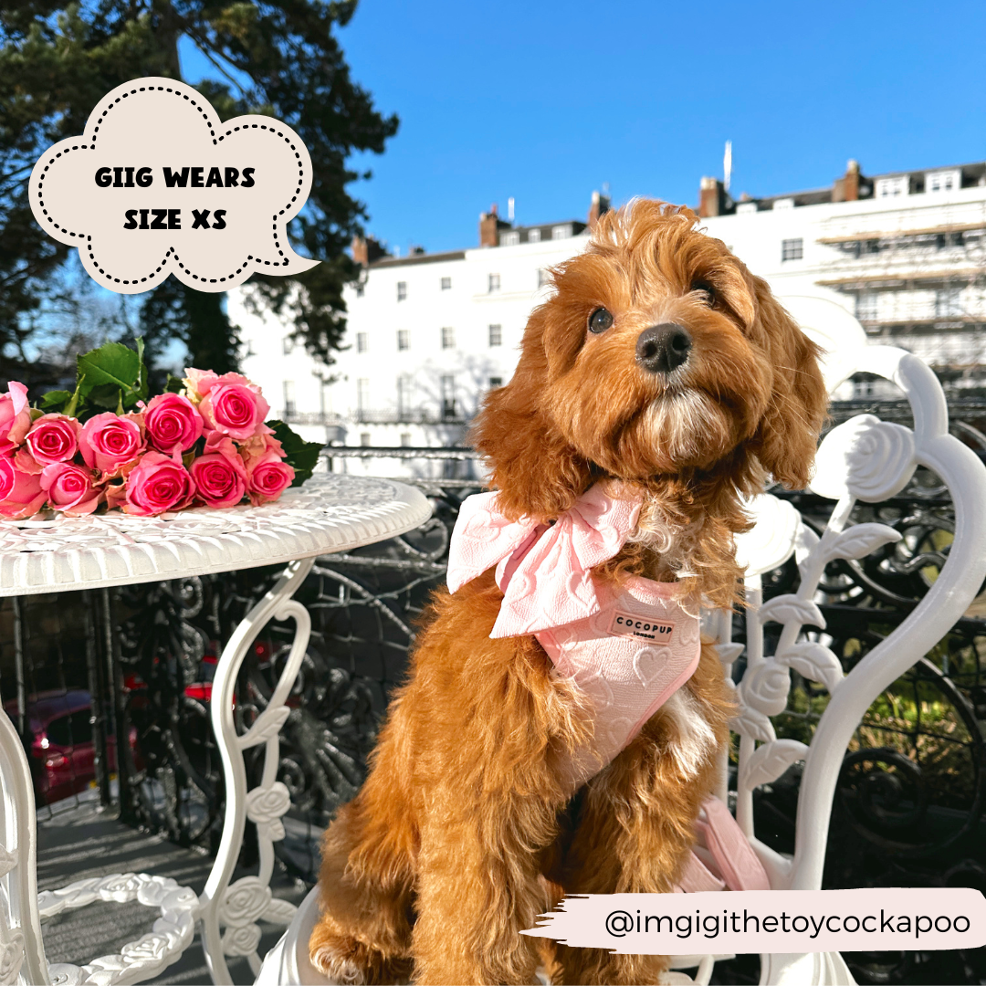 Harnais cœur rose Cocopup London