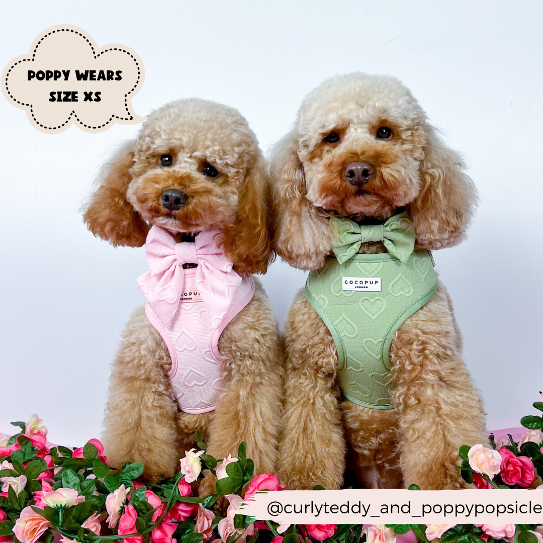 Harnais cœur rose Cocopup London