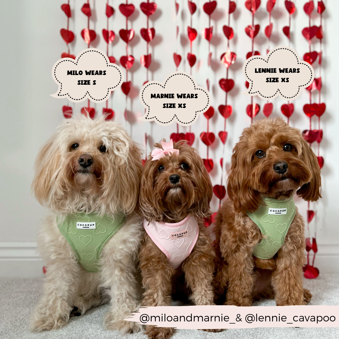 Harnais cœur rose Cocopup London