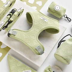 Harnais cœur sauge Cocopup London