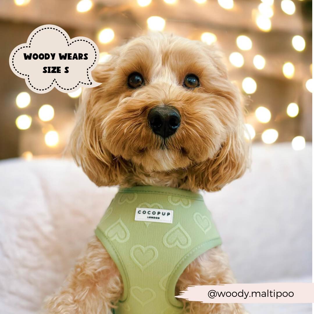 Harnais cœur sauge Cocopup London