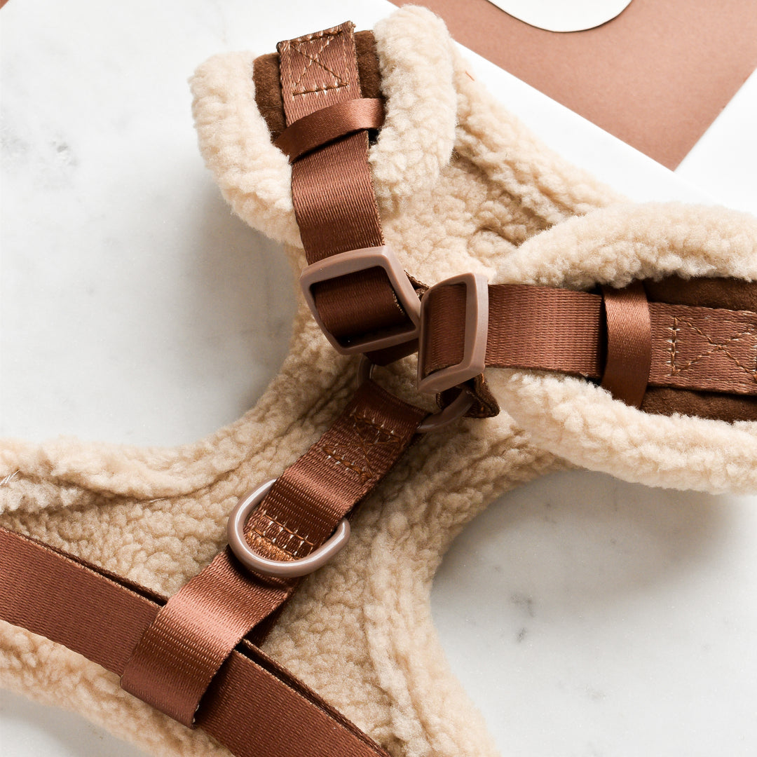 Harnais Aviator brown Cocopup London