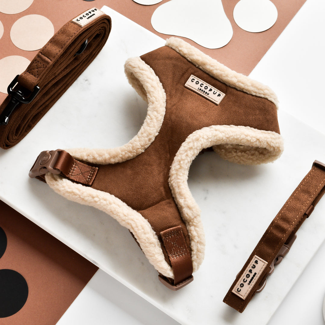 Harnais Aviator brown Cocopup London