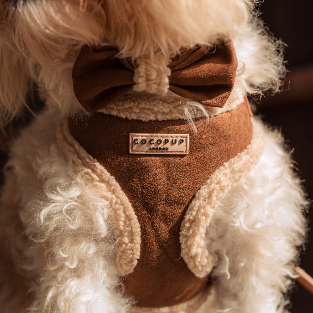 Harnais Aviator brown Cocopup London