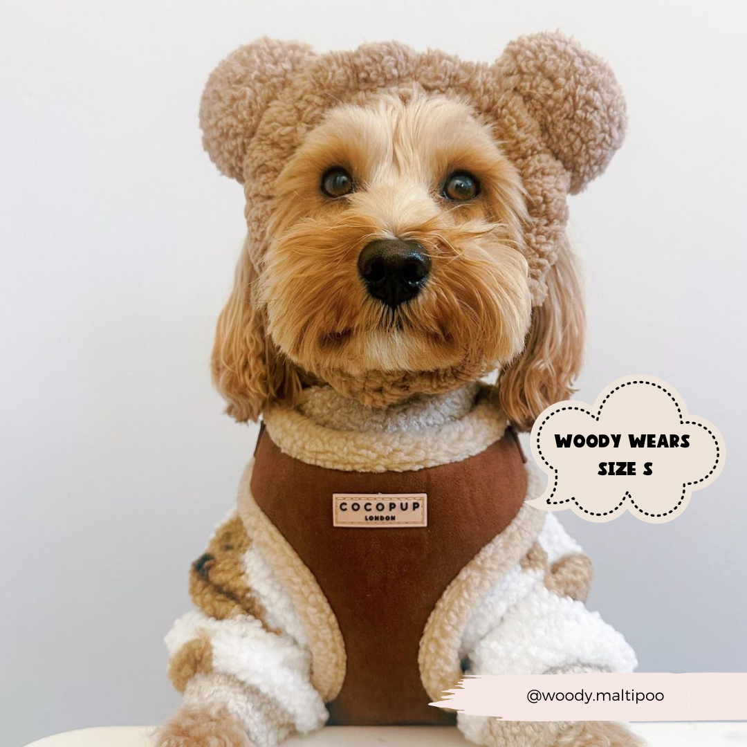 Harnais Aviator brown Cocopup London