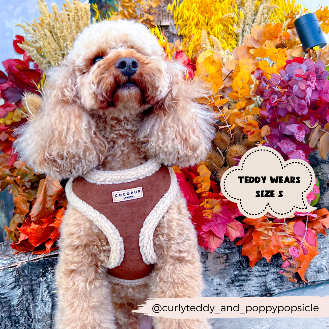 Harnais Aviator brown Cocopup London