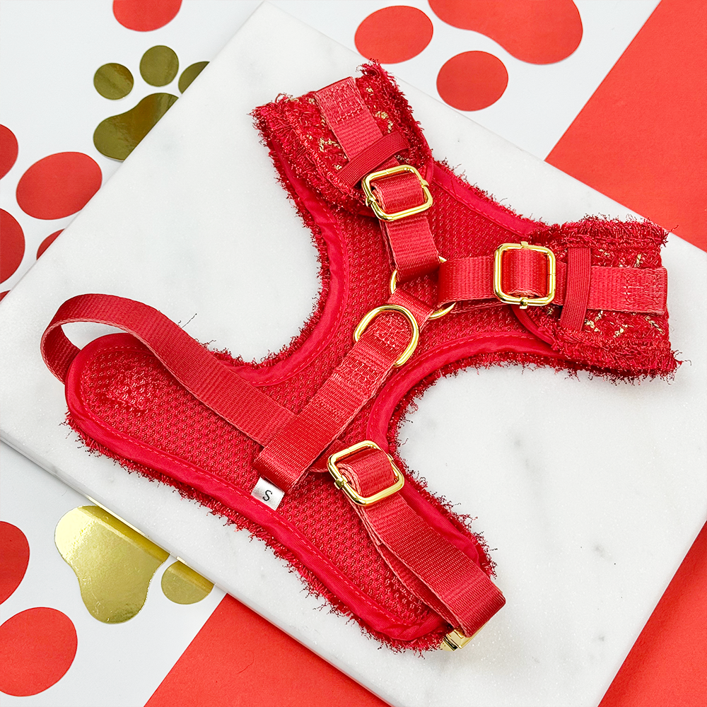 Harnais Red tweed texturé Cocopup London