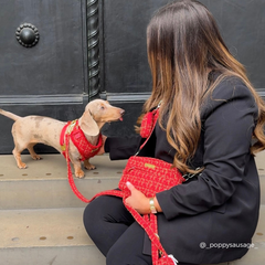 Harnais Red tweed texturé Cocopup London