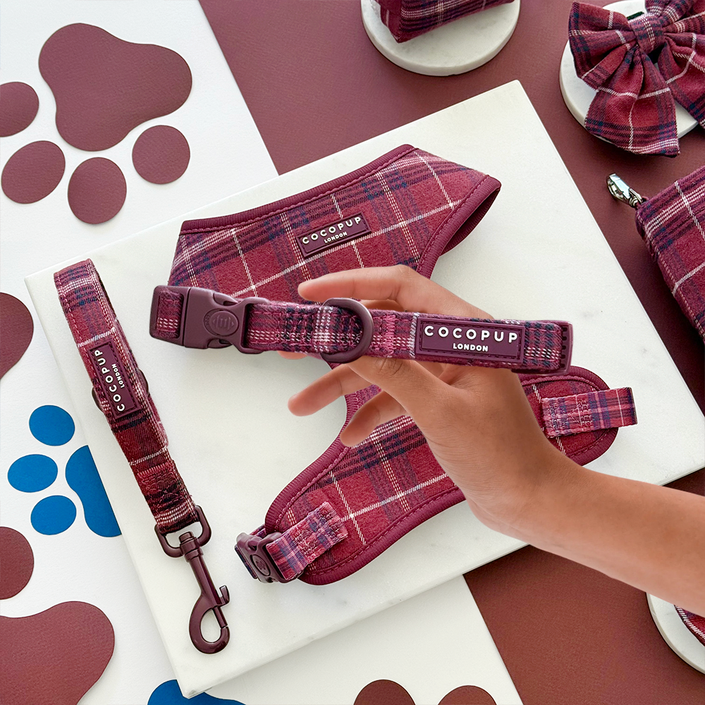 Mulberry plaid Cocopup London