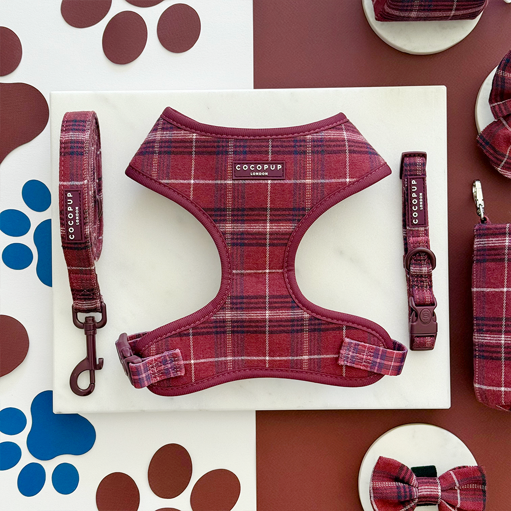 Mulberry plaid Cocopup London