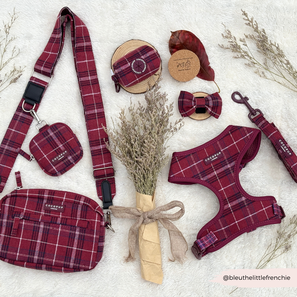 Mulberry plaid Cocopup London