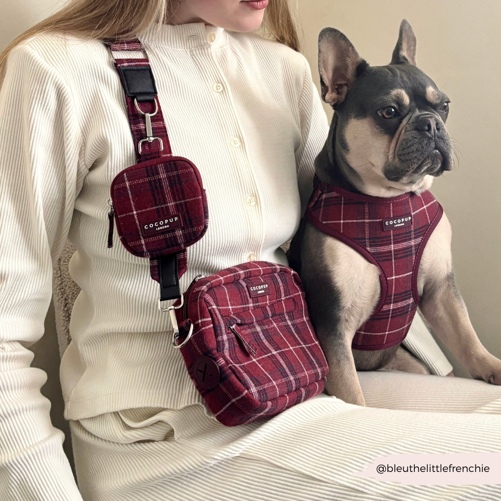 Mulberry plaid Cocopup London