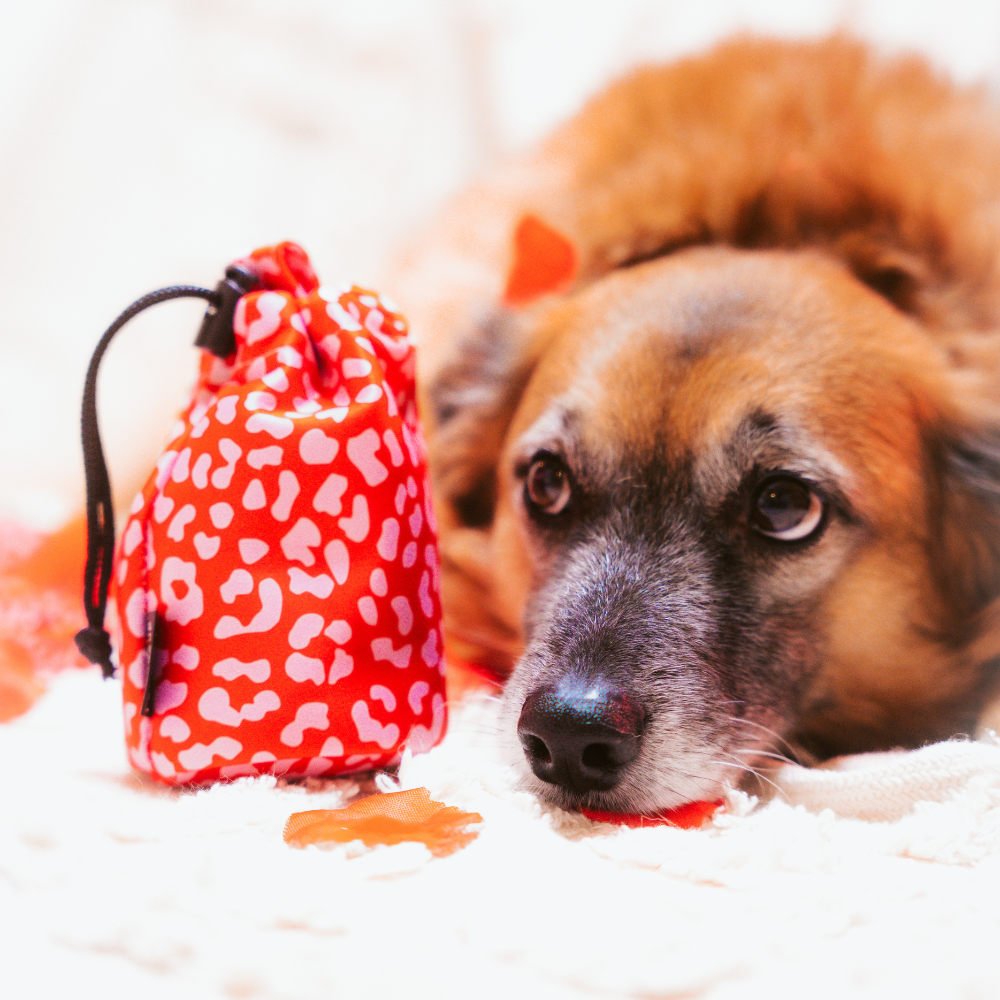 Cocopup Léopard rouge et rose
