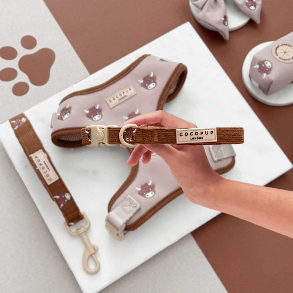 Cocopup Harold The Highland Cow