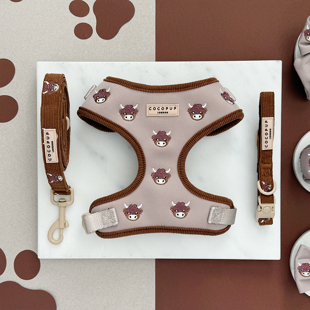 Cocopup Harold The Highland Cow