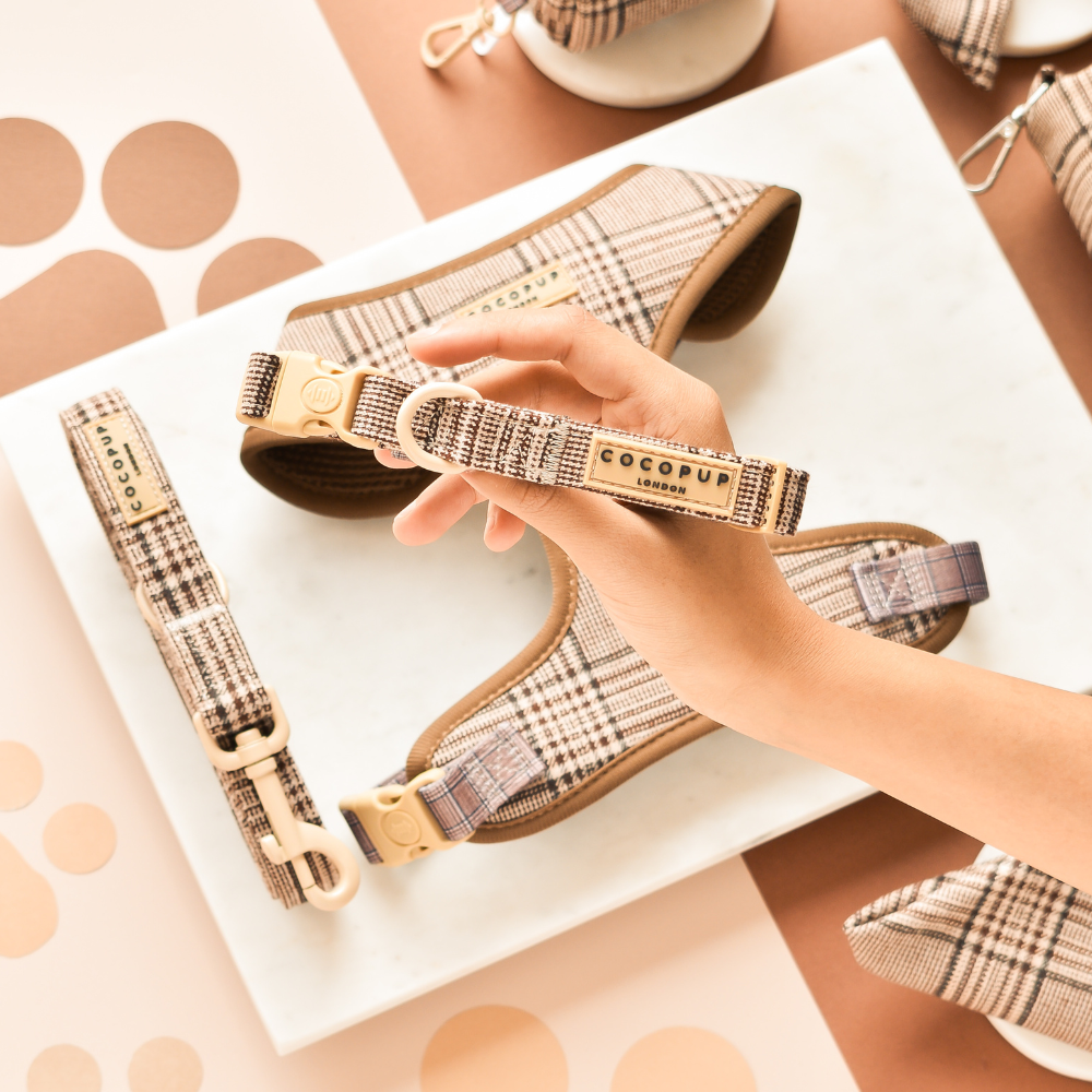 Pup plaid Cocopup London