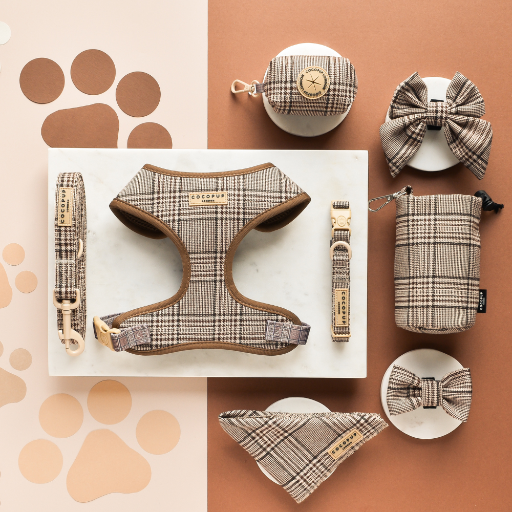 Pup plaid Cocopup London