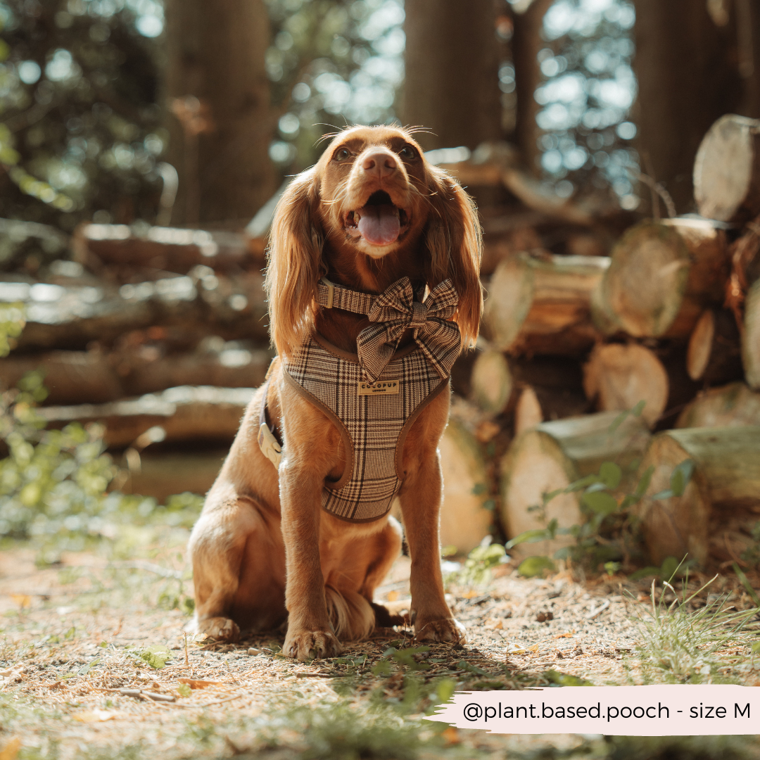 Pup plaid Cocopup London