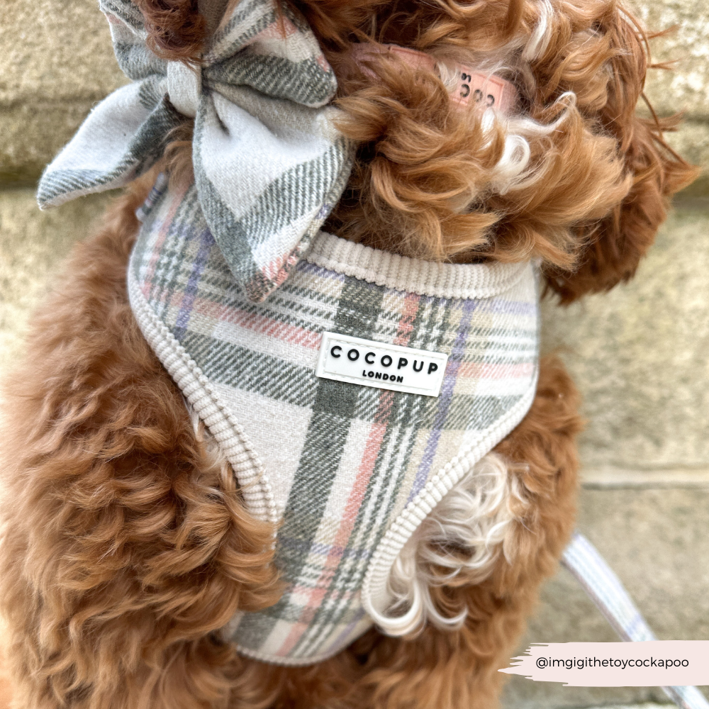Harnais Cocopup Oxford Plaid