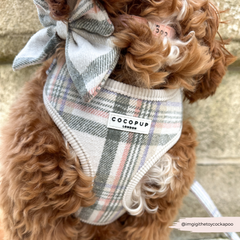 Harnais Cocopup Oxford Plaid
