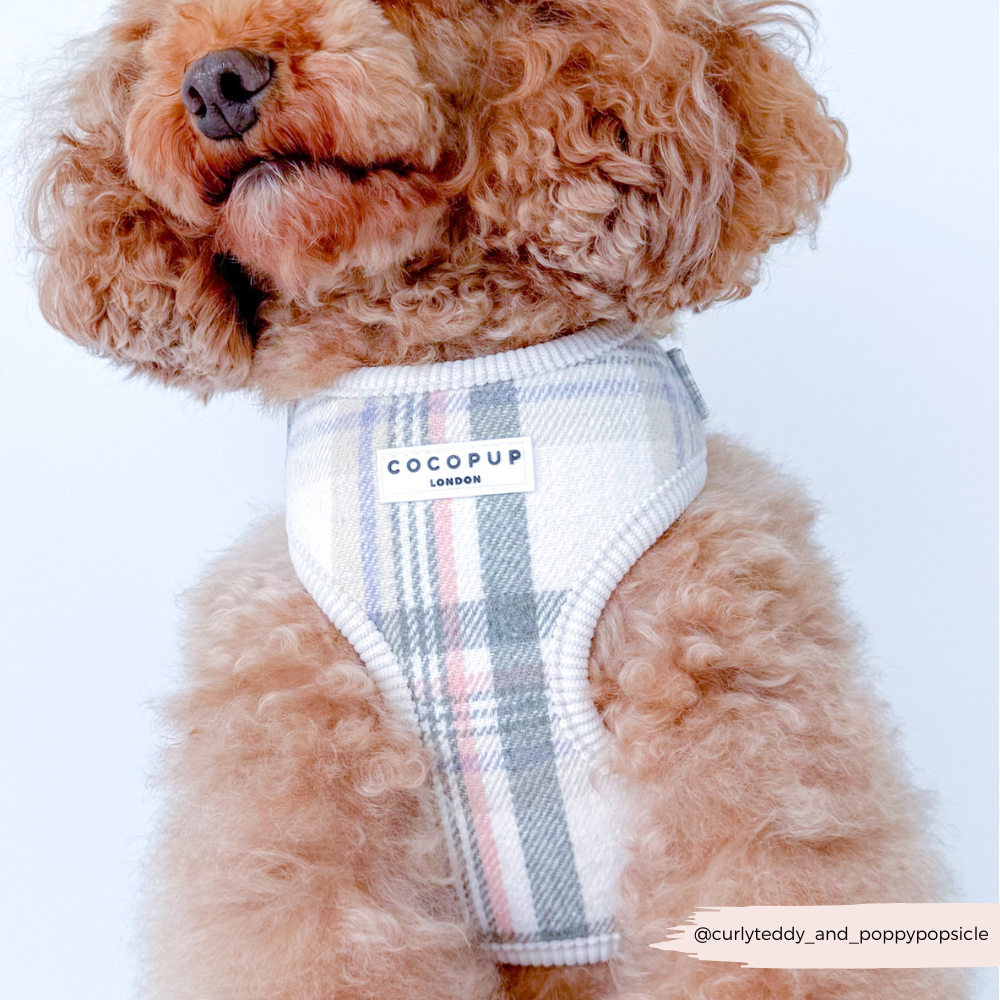 Harnais Cocopup Oxford Plaid