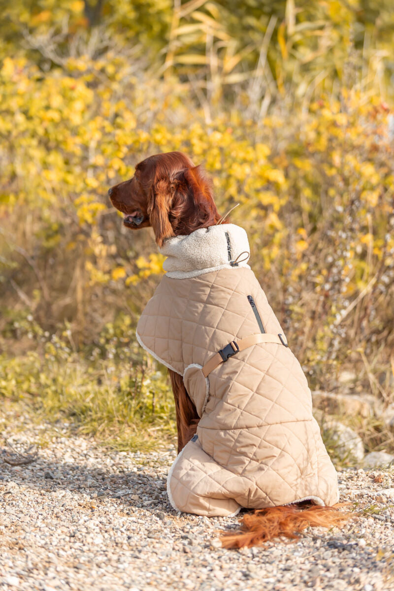 Manteau Minot Sherpa beige