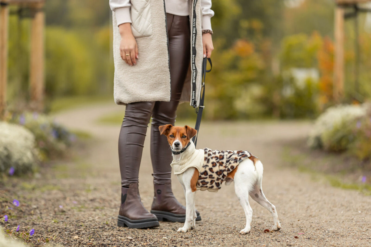 Manteau Ajou crème léopard