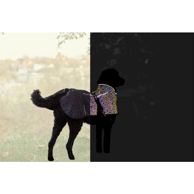 Manteau Limoux Reflect