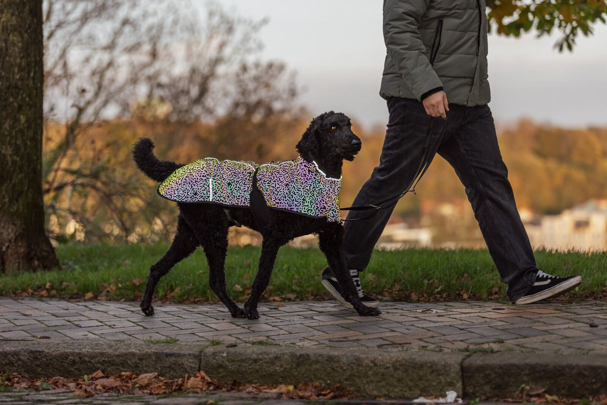 Manteau Limoux Reflect