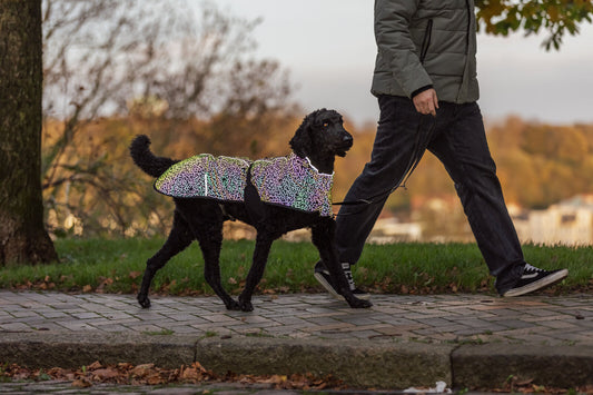 Manteau Limoux Reflect