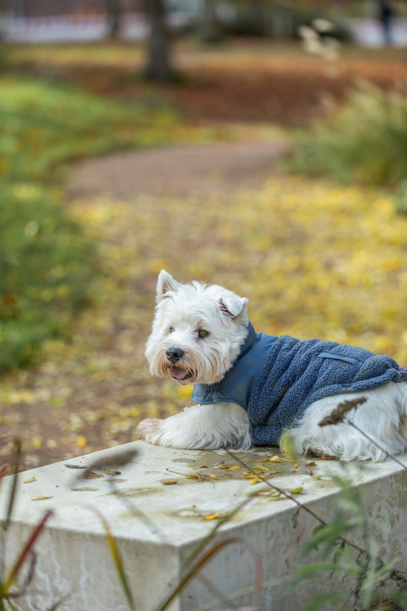Manteau Ajou bleu