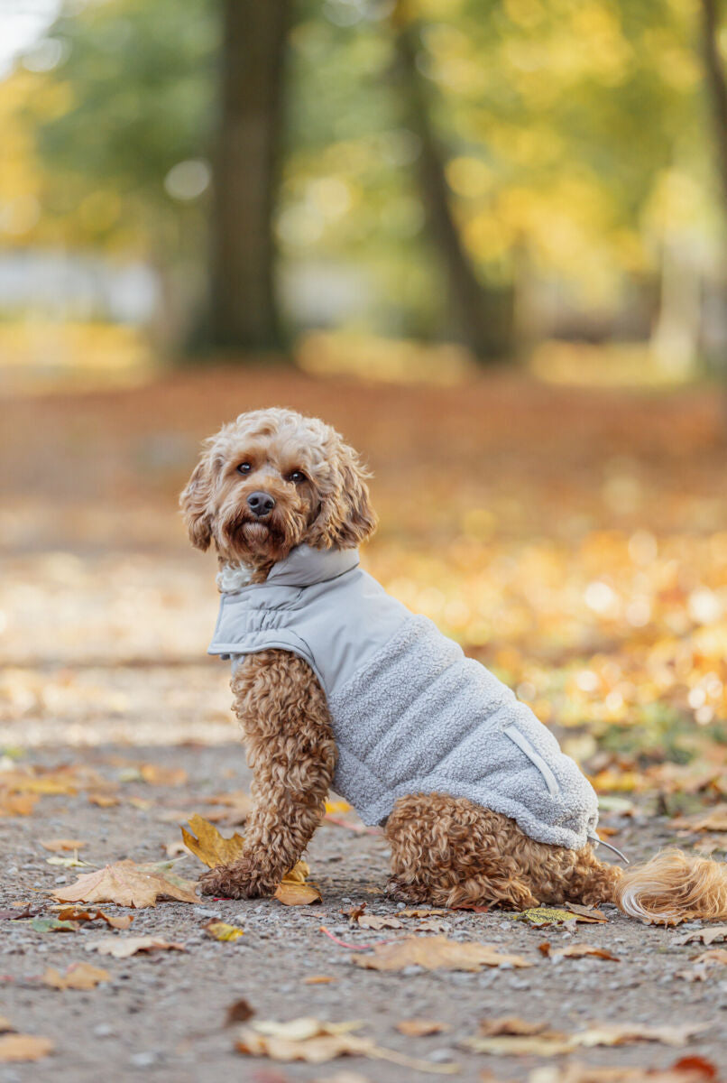 Manteau Ajou taupe gris
