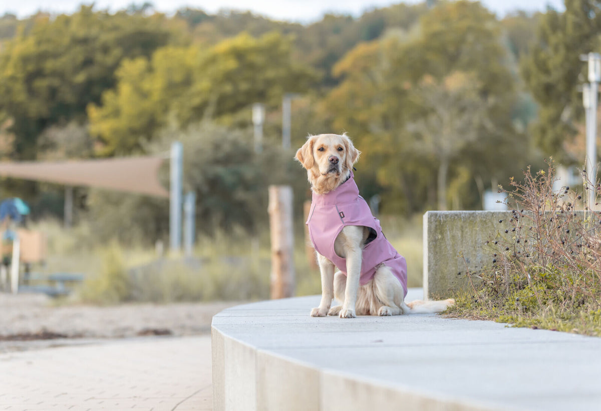 Imperméable Vimy Rose