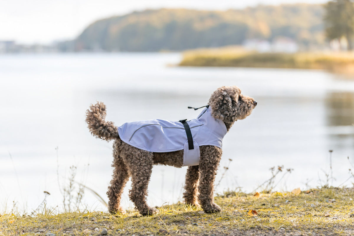 Imperméable Vimy Mauve